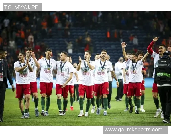 2019欧洲国家联赛精彩回顾葡萄牙对阵荷兰全场录像分析与亮点总结 2019欧洲国家联赛精彩回顾葡萄牙对阵荷兰全场录像分析与亮点总结